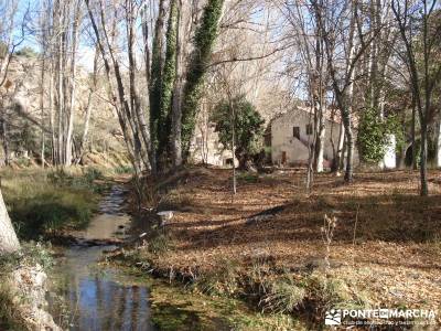 Parque Natural del Barranco Río Dulce;senderos ecologicos cazorla senderismo